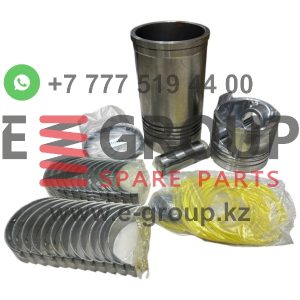 Поршневая группа Ricardo R6110ZLDS